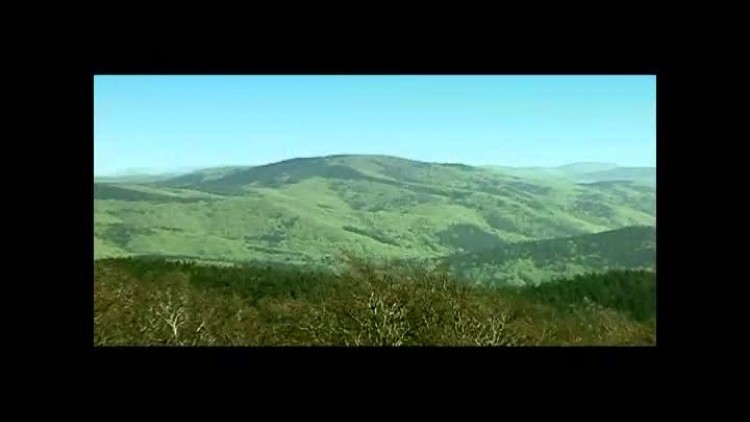 media-gory_sowie_2005